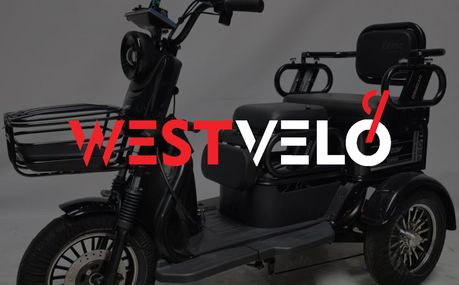 Який електротскутер триколісний гуртом реально продається, а які моделі залишаються лише в каталогах?